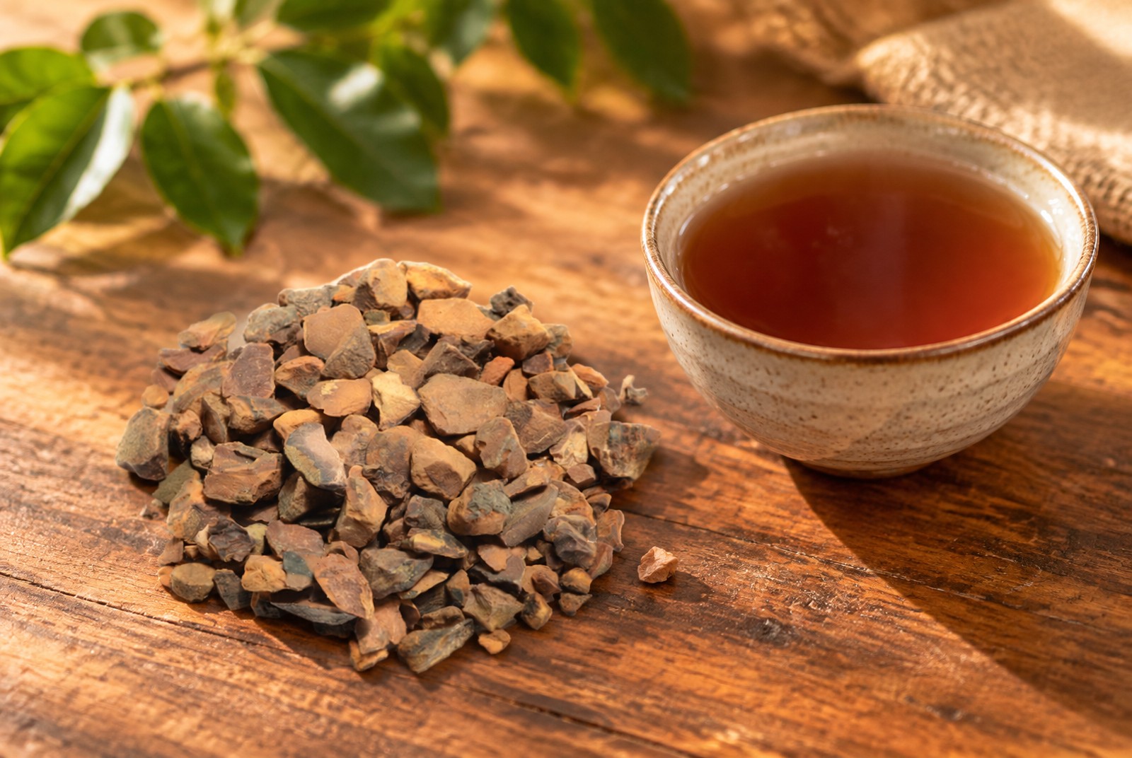 Kola nut has double the caffeine of arabica coffee