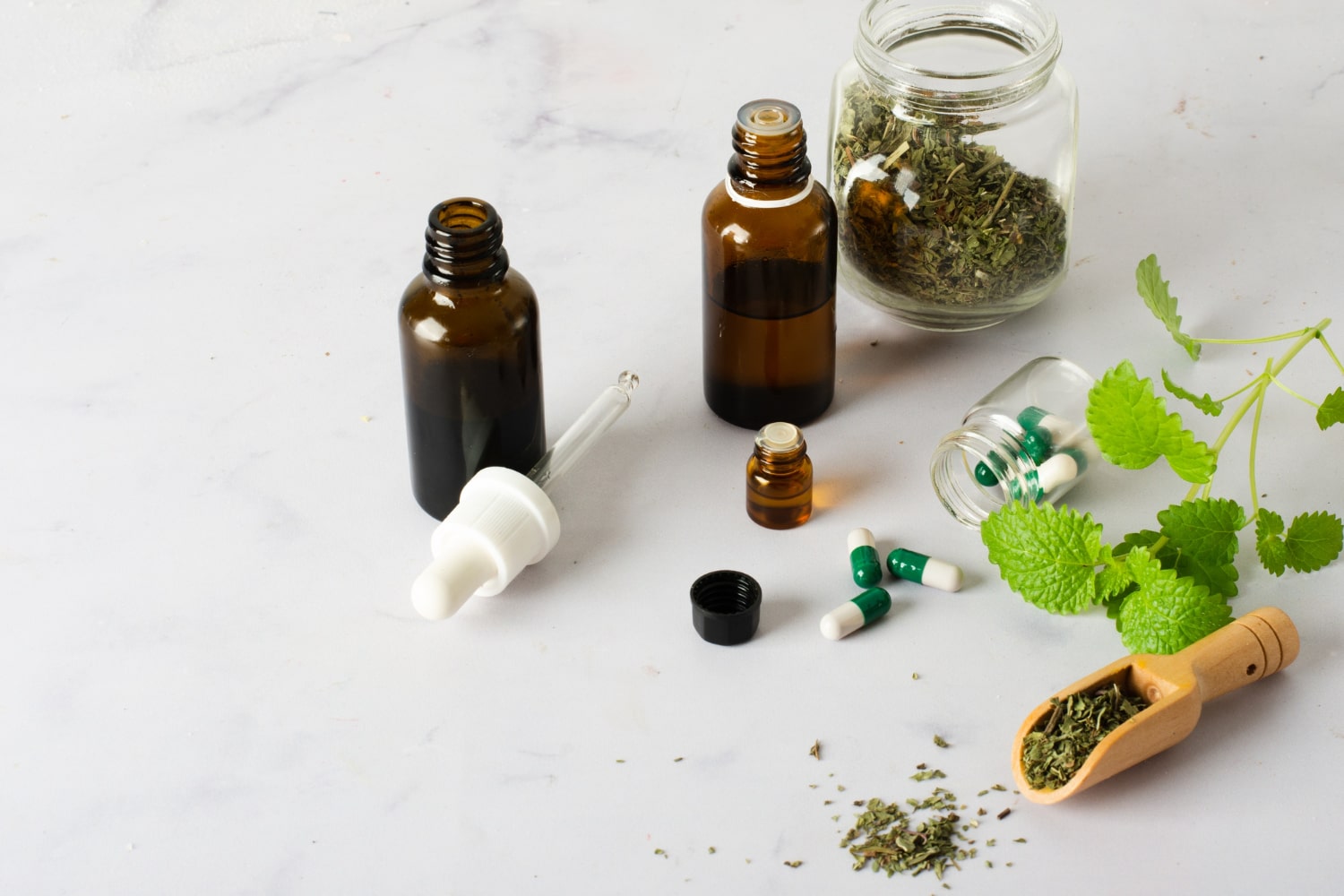 Exploring the potent world of herbal extracts