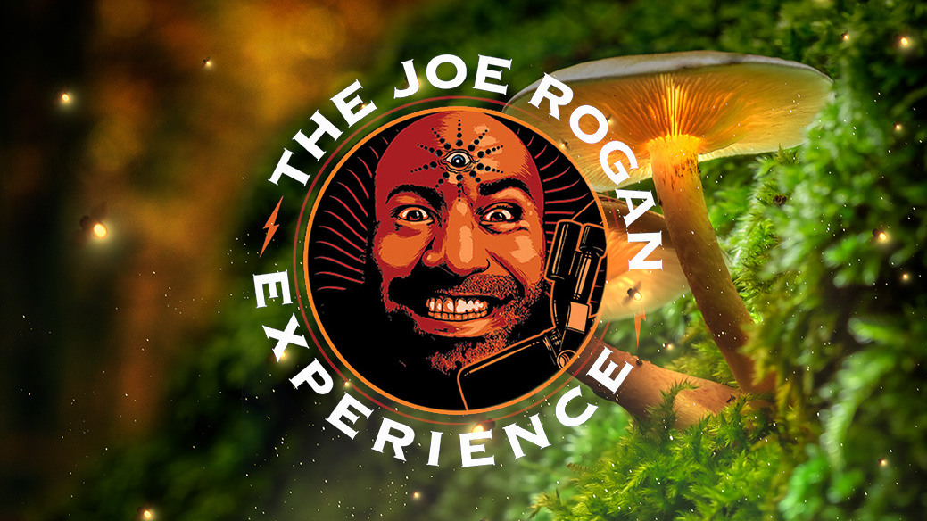 rogan experiences psychedelics