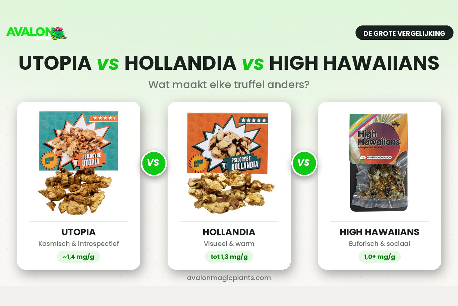 Utopia vs. Hollandia vs. High Hawaiians: what makes each truffle different?