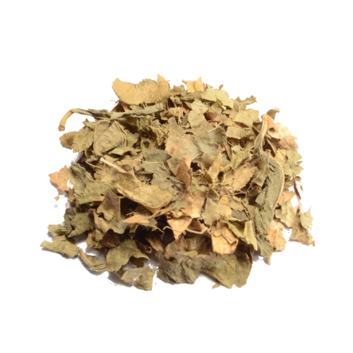 Bay bean 20 gram (Canavalia maritima)