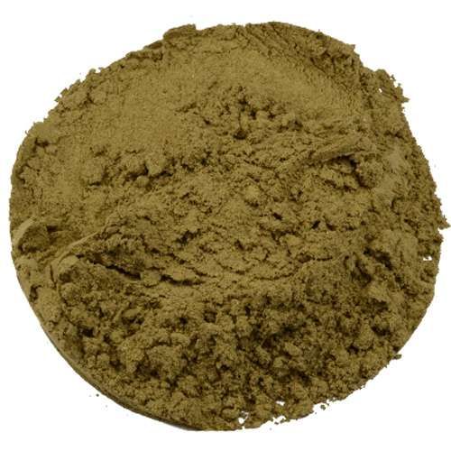 Green Malay Kratom - Mitragyna speciosa
