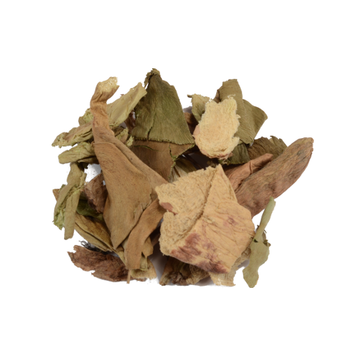 Sacred Lotus 20 Gram - Nelumbo nucifera
