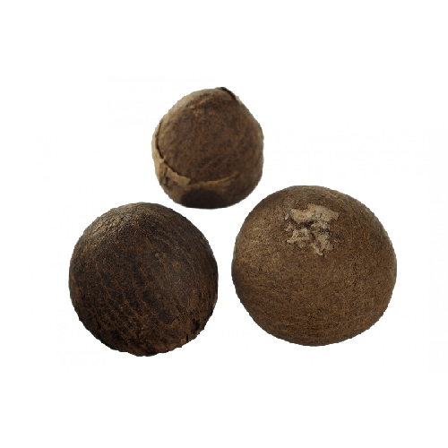 Betel Nut 50 Gram Areca Catechu huismerk kopen in de aanbieding Betel Nut 50 Gram Areca Catechu huismerk kopen in de aanbieding