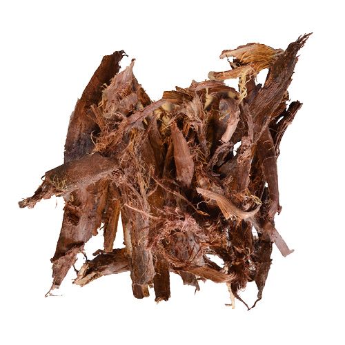 Buy Mimosa Hostilis Root Bark | Jurema Preta - Mimosa Tenuiflora