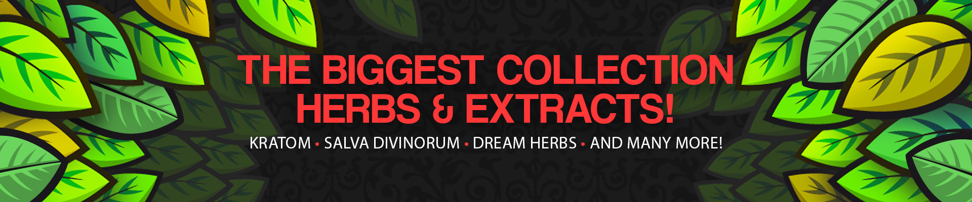 Online Smartshop | Avalon Magic Plants | Your #1 Magic Superstore